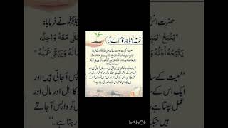 Qbr my Kia Cheez kam ay gii [upl. by Zoie]