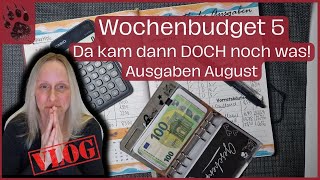 SPAREN Wochenabschluss 5 Augustbudget 🤑 Leere Töpfe AUSGABEN umschlagmethode budgetplanung vlog [upl. by Aelgna]