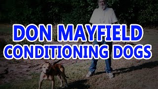 Don Mayfield Conditioning Dogs  Pit bull Legend [upl. by Wittie]