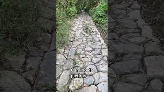 camino de piedras [upl. by Mahon]