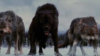 Born Among Wolves  Action Movie Full Length English   Full Action Movies HD [upl. by Thorne]