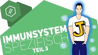 Spezifische Immunabwehr 3  Immunsystem [upl. by Alithea833]