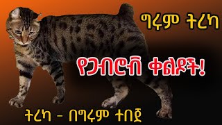 ቀልዶች ከጋብሮቭ ምድር ትረካ  በግሩም ተበጀ Girum Tebeje GirumTereka [upl. by Anehs]