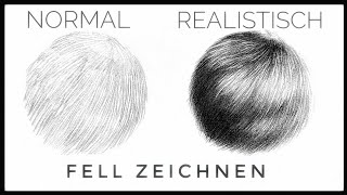 Fell zeichnen lernen  Tipps für das realistische Zeichnen von Fell [upl. by Hesky278]