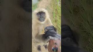 Bajrang 🐒 🙈 short funny trendingytshortsvish short education [upl. by Mirabelle371]