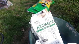 Testing Azomites effectiveness for growing tomatoes [upl. by Eatnahc]