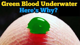 Why does blood turn green underwater  Green blood  Sulfhemoglobin  Human green blood  Blood [upl. by Aletta788]