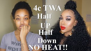 HOW TO HALF UP HALF DOWN ON SHORT 4c TWA ft Outre Dominican Curly [upl. by Dajma]