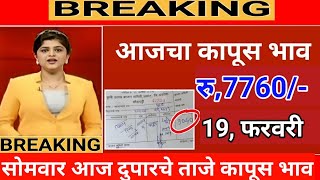 आजचे Live कापूस भाव 19 फरवरी 2024  kapus bhav today कापूसबाजारभावआजचे [upl. by Wehttan]