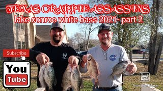 lake conroe  white bass spawn 2021 part 2 [upl. by Alleuqram624]