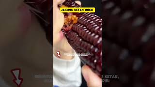 Jagung ketan ungu bertekstur lengket [upl. by Asirak402]