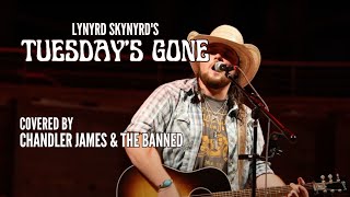 Lynyrd Skynyrds quotTuesdays Gonequot Cover Chandler James amp The Banned Koka Booth Amphitheatre [upl. by Atsugua557]