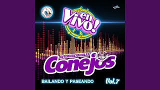 Merengue Mix 2010 Dont Worry Be Happy  Remember Na Na Na Hey Hey En Vivo [upl. by Nwahsear]