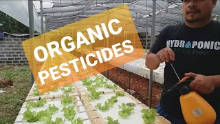 PEST CONTROL  ORGANIC PESTICIDES FOR ALL  SNAP HYDROPONICS [upl. by Tihor973]