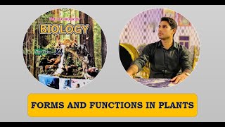 Class 11th  Forms And Functions In Plant  Lecture 20 Phloem Translocation  Flow Pressure theory [upl. by Ytinirt]