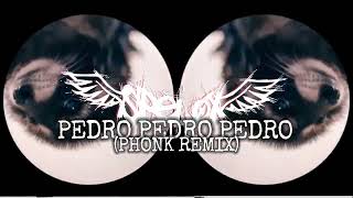 PEDRO PEDRO PEDRO Phonk Remix [upl. by Mell]