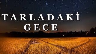 TARLADA GECE YAŞANAN KORKUNÇ OLAY  KORKU HİKAYELERİ  270 [upl. by Brendin]