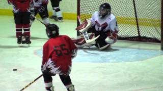 2016 01 30 NOVICE Hockey Edmundston Prédateurs VS Panthères du Haut Madawaska [upl. by Ahtivak]