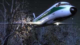 A Captains Decision to Overrule His First Officer Ends in Disaster [upl. by Leontyne]