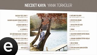 Karadır Kaşların Ferman Yazdırır Necdet Kaya Official Audio karadırkaşların necdetkaya [upl. by Ailasor]