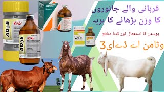 Meat increas injectionBostin plus use karny ka tariqaMilk increas injVAD3inj vetinfofarhan [upl. by Siddon]