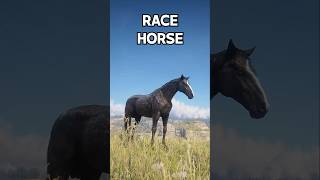 Best RACE Horses You Must OWN  RDR 2 [upl. by Sam212]