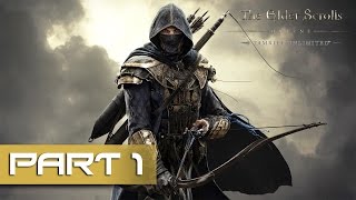 The Elder Scrolls Online Tamriel Unlimited  Gameplay Walkthrough Part 1  So Much Has Changed [upl. by Buyse995]