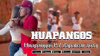 Mix de Huapangos 2024  Puros Huapangos Para Bailar Mix 2024  Huapangos Pa Bailar Zapateado [upl. by Coniah]