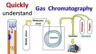 Gas chromatography  GC [upl. by Dent351]