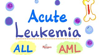 Acute Leukemia  ALL and AML  Hematology and Oncology Series [upl. by Merceer]