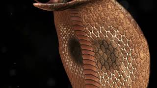 Meet the Inland Taipan Worlds Most Venomous Snake [upl. by Massiw958]