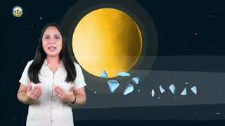 Grade 8 Science  Comets Meteors and Asteroids [upl. by Kassey]