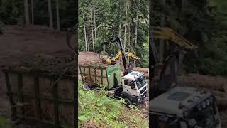 automobile excavator heavymachines tractor machine Tigercat in action [upl. by Neomah439]