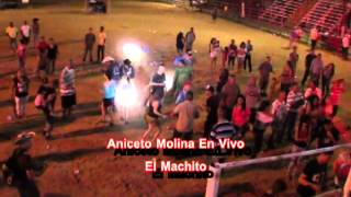 Aniceto Molina  El Machito En Vivo [upl. by Noiram788]