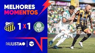 VEIGA CRAVA MAS PALMEIRAS LEVA O EMPATE NO FIM GRÊMIO NOVORIZONTINO 1 X 1 PALMEIRAS  PAULISTÃO [upl. by Corilla324]