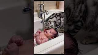 Cat bathes baby [upl. by Jeffrey]