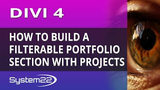 Divi 4 How To Build A Filterable Portfolio Section With Projects [upl. by Chloette]