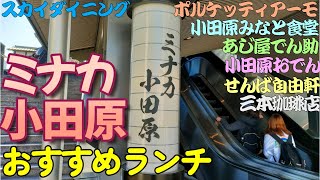 【小田原グルメ】ミナカ小田原おすすめランチ。小田原みなと食堂、あじ屋でん助、小田原おでん本店、三本珈琲店、せんば自由軒キッチン、ポルケッティアーモ、スカイダイニング [upl. by Mandle]