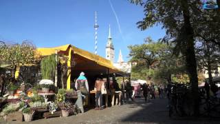 sonniger Novemberauftakt 2014  Viktualienmarkt München Impressionen 3112014 [upl. by Glen56]