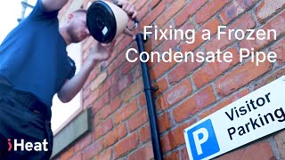 How to Fix a Frozen Boiler Condensate Pipe [upl. by Nalym41]