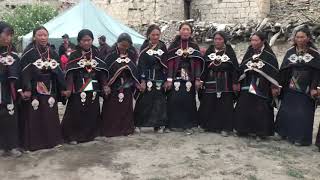 DOLPO Dance  Vijer [upl. by Nareik]