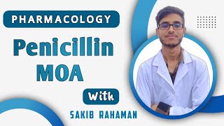 Mechanism of action of Penicillin  Beta lactam antibiotics  Cephalosporins  Pharmacology bangla [upl. by Pauline988]