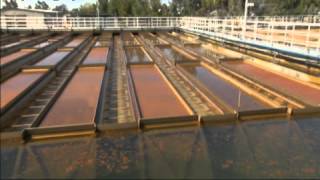 WSO Coagulation Flocculation amp Sedimentation DVD Preview [upl. by Ralston]