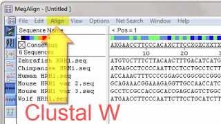 SQL Server Integration Services SSIS Part 2  Performing Basic Tasks [upl. by Archangel388]