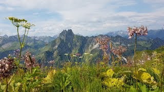 Steinbocktour im Allgäu Juli 2018 [upl. by Erodoeht655]