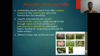 aquatic macrophytes part 1 [upl. by Nehgam]