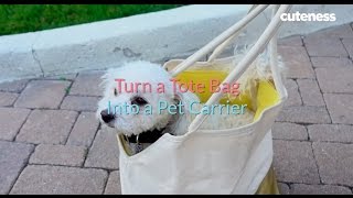 How to Turn Your Tote into a Pet Carrier  Cutenesscom [upl. by Ernesto]