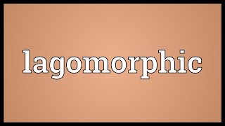 Lagomorphic Meaning [upl. by Ecienahs]