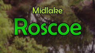 Midlake  Roscoe karaoke [upl. by Modesta738]