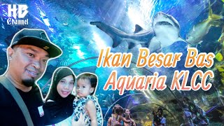 Aquaria KLCC  hazwanbakarchannel Aquaria aquariaklcc fypシ゚viral fypyoutube [upl. by Papst]